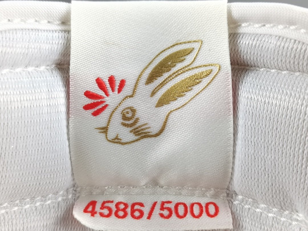 JORDAN 1 LOW x YEAR OF THE RABBIT